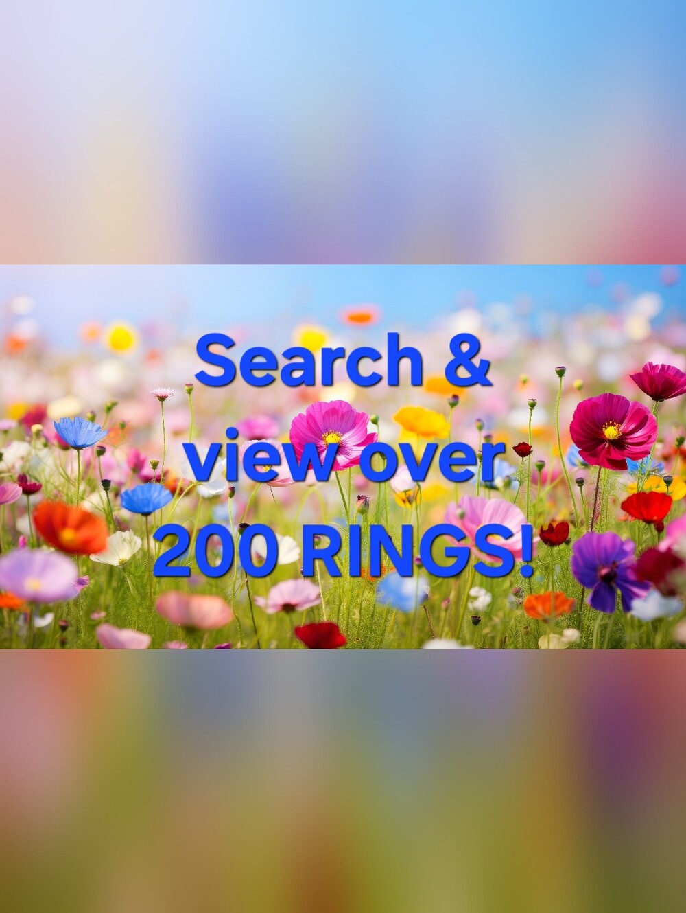 Did You Know?  We have over 200 RINGS in Our Closet?